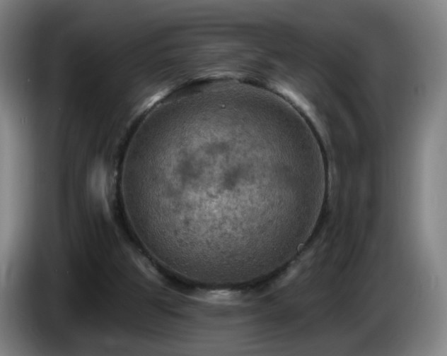 X0000086730153200704201653