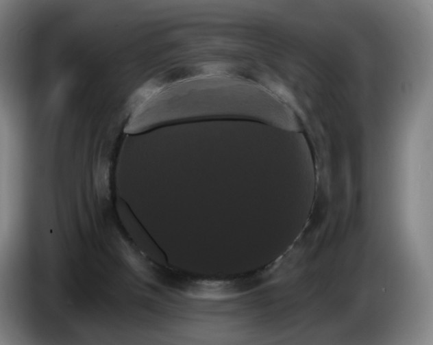 X0000086730154200704201653