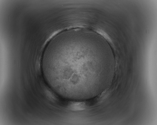 X0000086730155200704201653