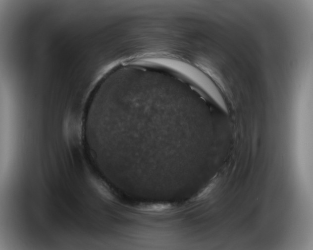 X0000086730156200704201653