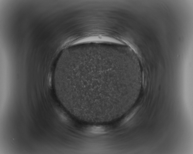 X0000086730157200704201653