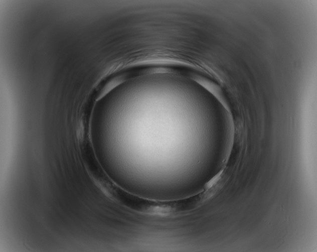 X0000086730158200704201653