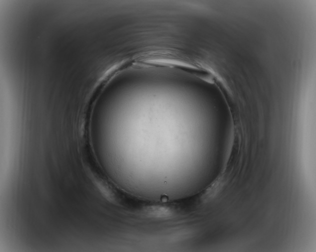 X0000086730159200704201653