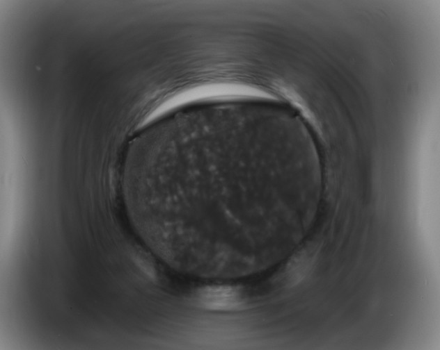 X0000086730161200704201653