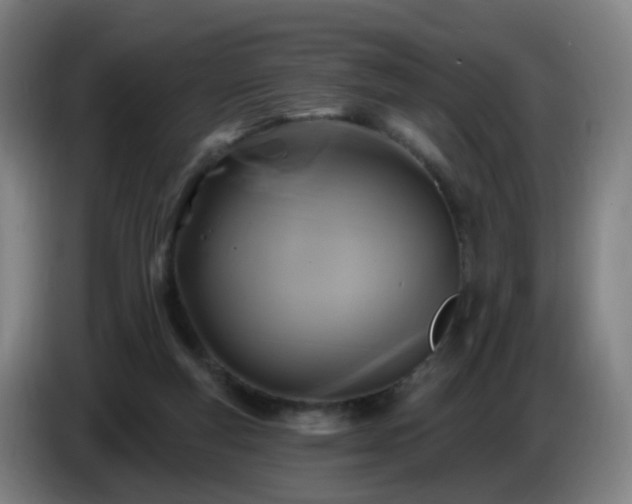 X0000086730163200704201653