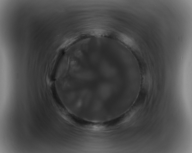 X0000086730165200704201653