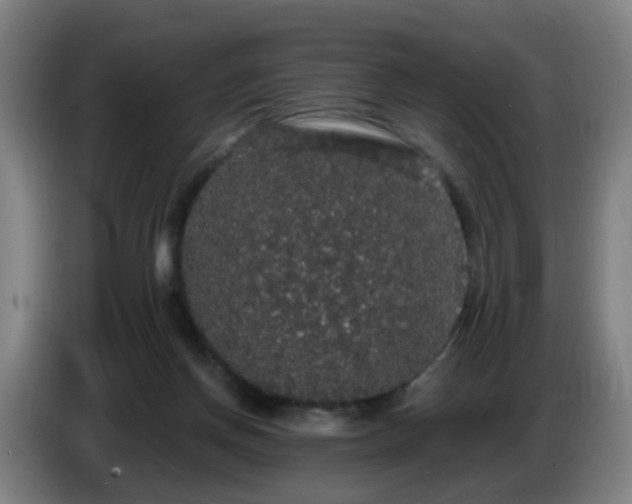 X0000086730166200704201653