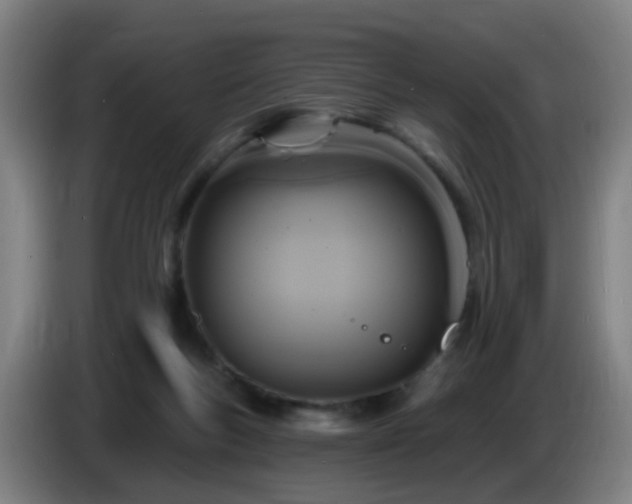 X0000086730167200704201653