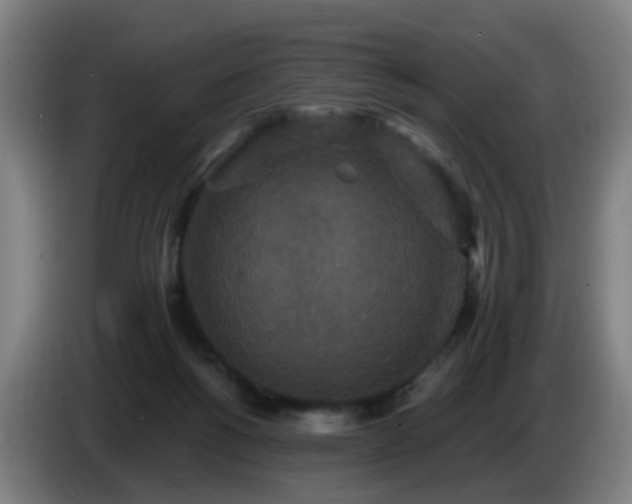 X0000086730168200704201653