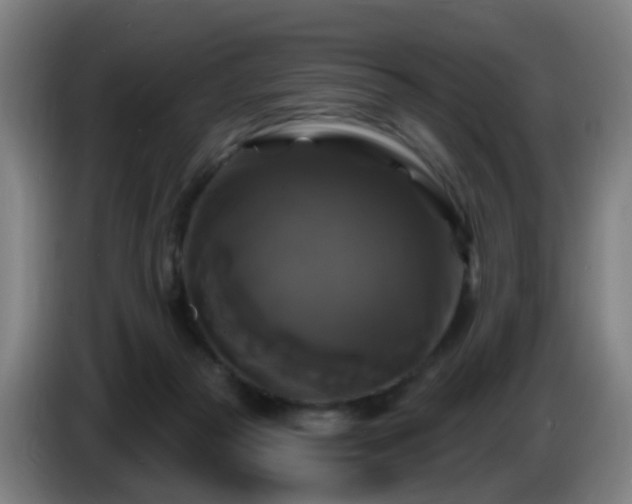 X0000086730169200704201653