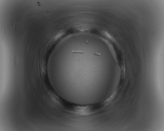 X0000086730170200704201653