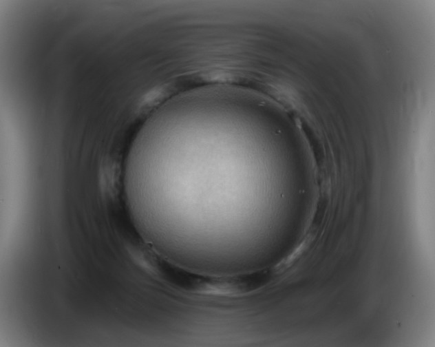 X0000086730171200704201653