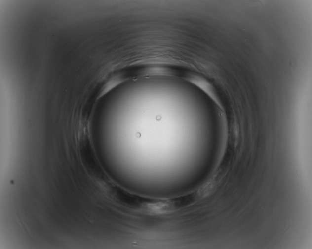 X0000086730172200704201653