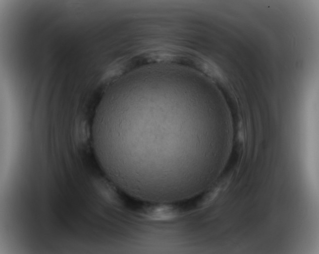 X0000086730173200704201653