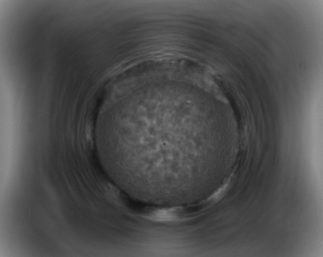 X0000086730178200704201653