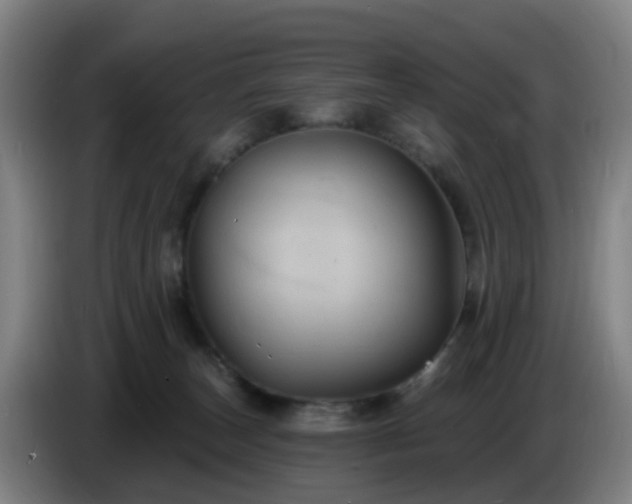 X0000086730179200704201653