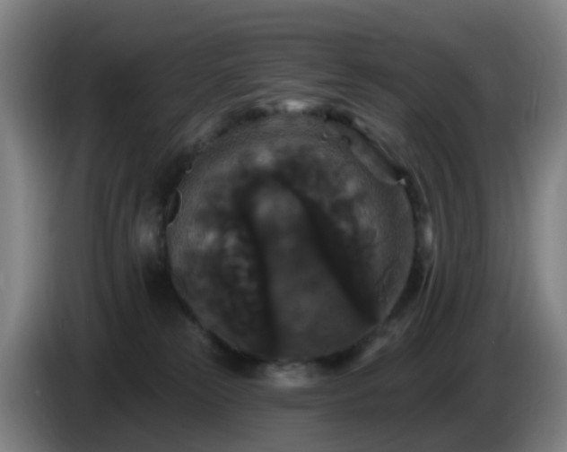 X0000086730181200704201653