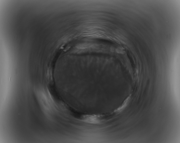 X0000086730182200704201653