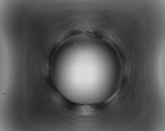 X0000086730183200704201653