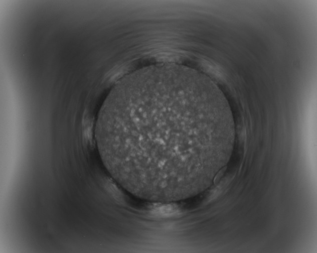 X0000086730185200704201653