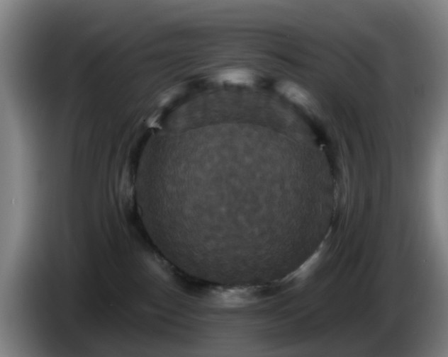 X0000086730186200704201653