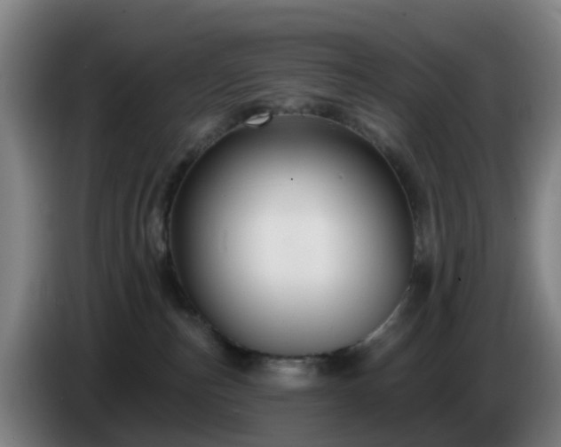 X0000086730187200704201653