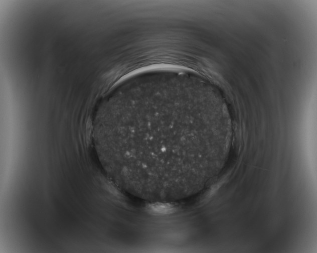 X0000086730189200704201653