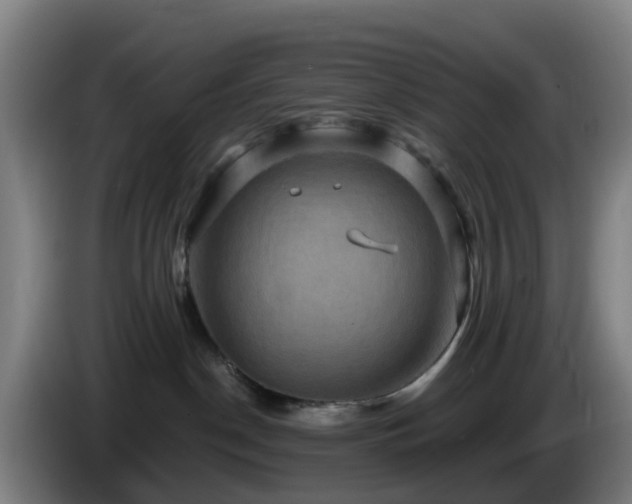 X0000086730190200704201653