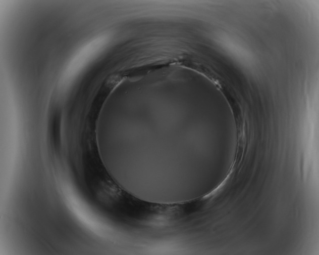 X0000086730191200704201653