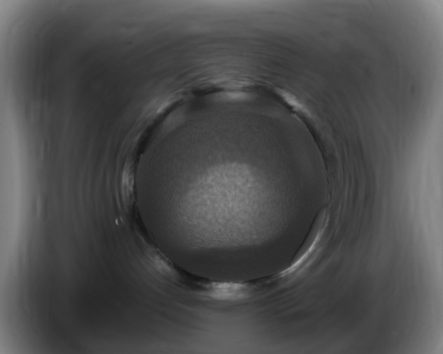 X0000086730192200704201653