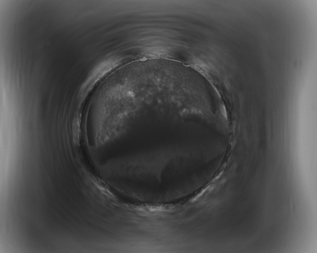 X0000086730194200704201653