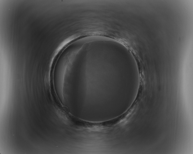 X0000086730196200704201653