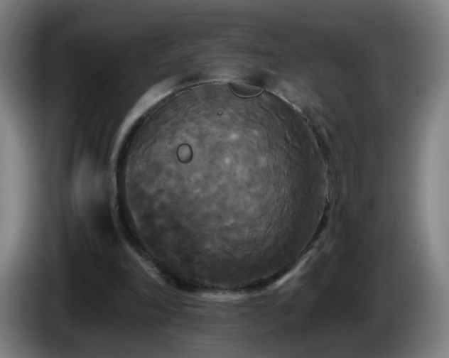 X0000086730198200704201653