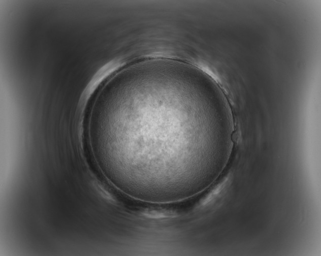 X0000086730199200704201653