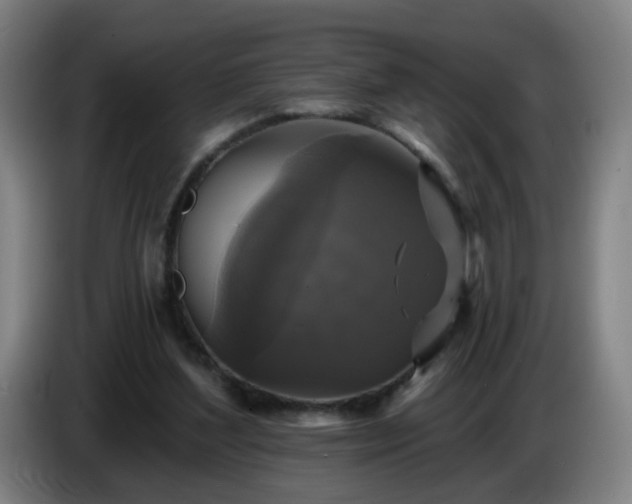 X0000086730204200704201653