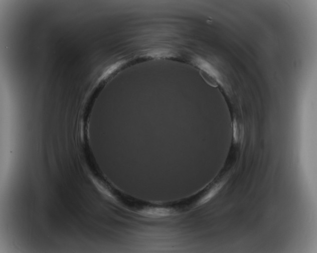 X0000086730205200704201653