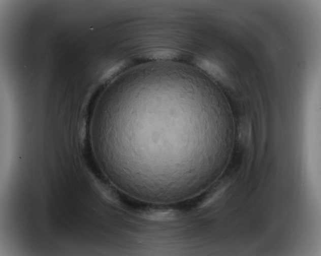 X0000086730206200704201652