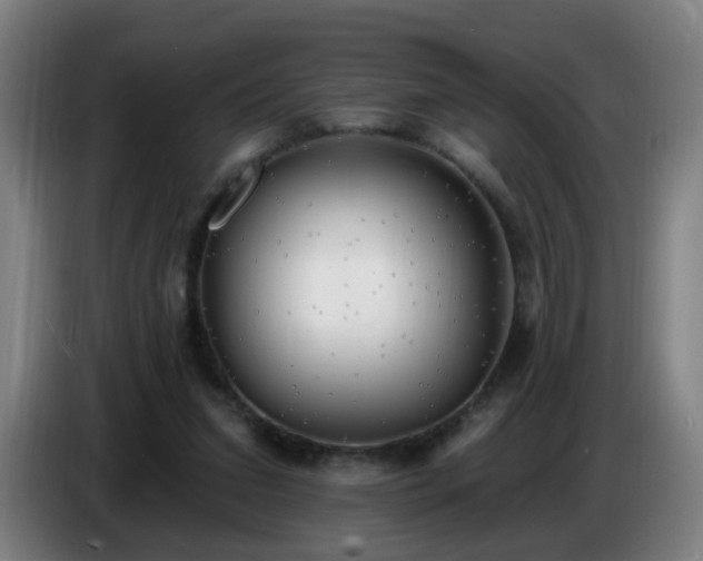 X0000086730207200704201652