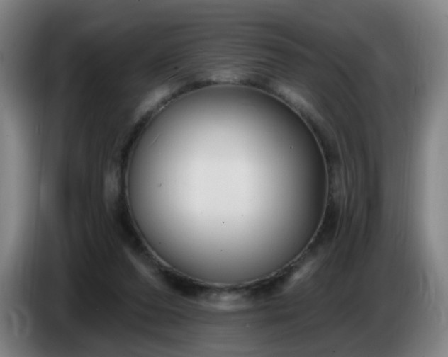 X0000086730208200704201652