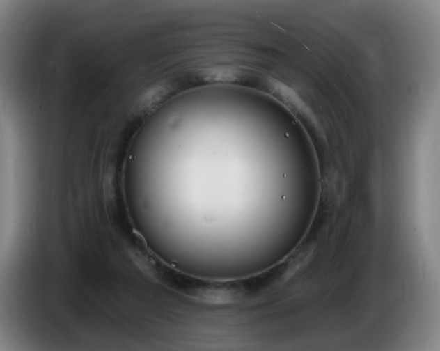 X0000086730209200704201652