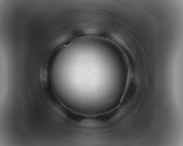 X0000086730211200704201652