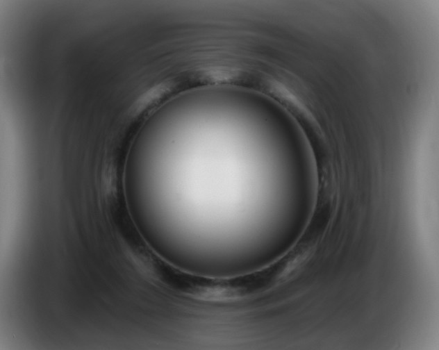 X0000086730212200704201652