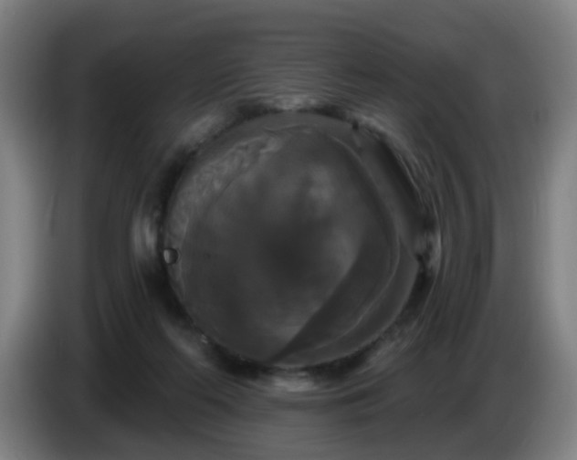 X0000086730214200704201652