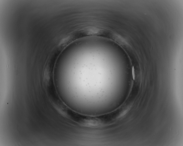 X0000086730215200704201652