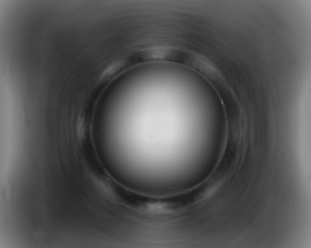 X0000086730216200704201652