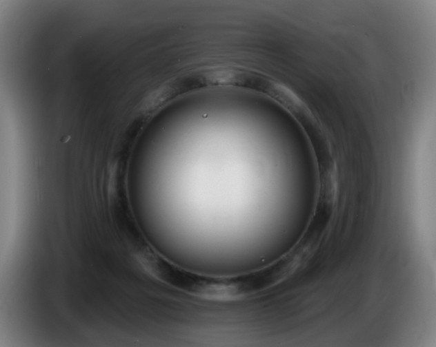 X0000086730217200704201652