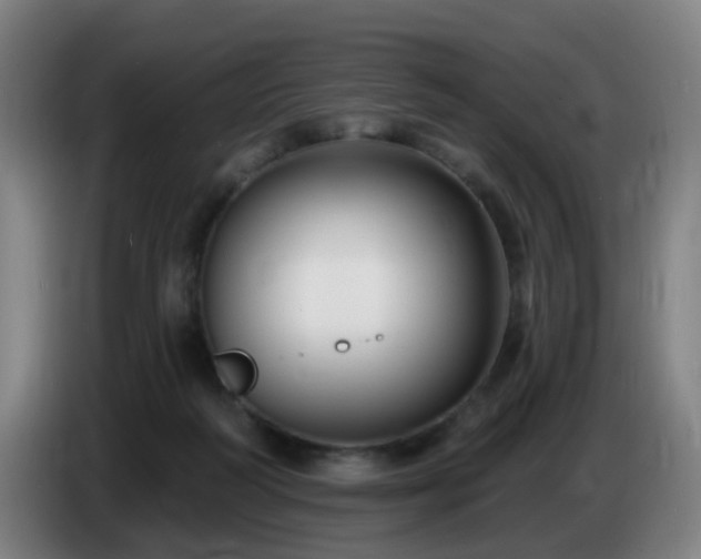 X0000086730218200704201652