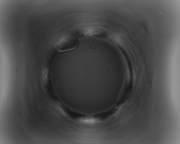 X0000086730219200704201652