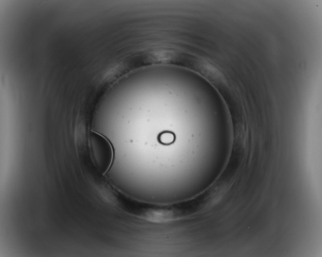 X0000086730220200704201652