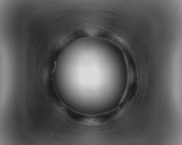 X0000086730221200704201652